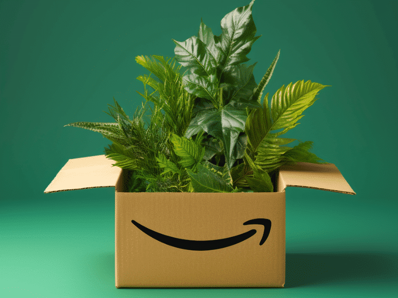 box with amazon logo. Does-Amazon-Drug-Test-2023